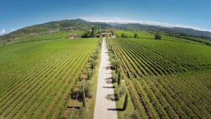 Meridiana 21 acquisto-terreni-agricoli
